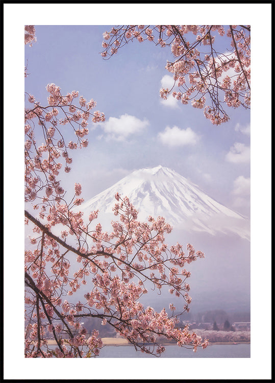 Poster Mont Fuji dans les fleurs de cerisier