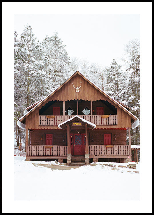 Neige XI dans le nord de l'État de New York Poster