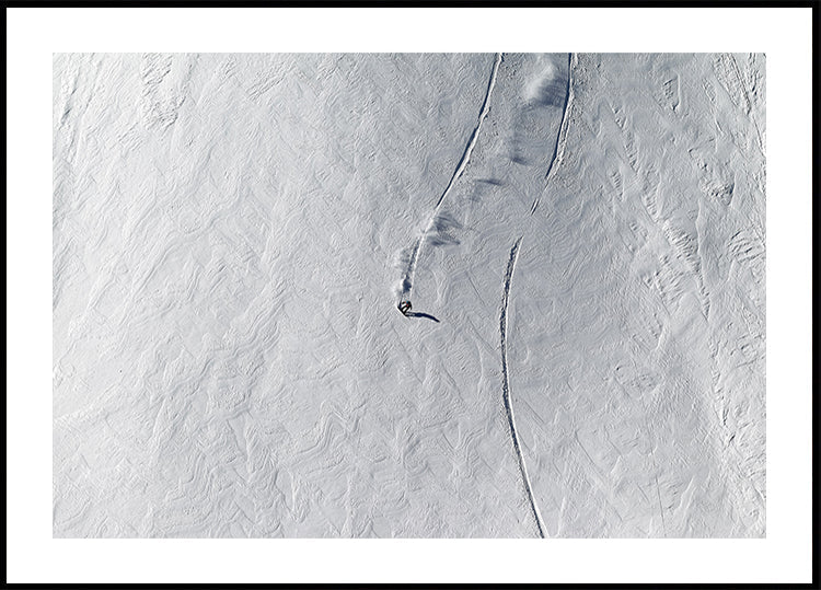 Lignes