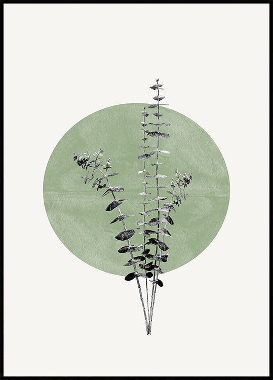 L'écho de la nature Poster