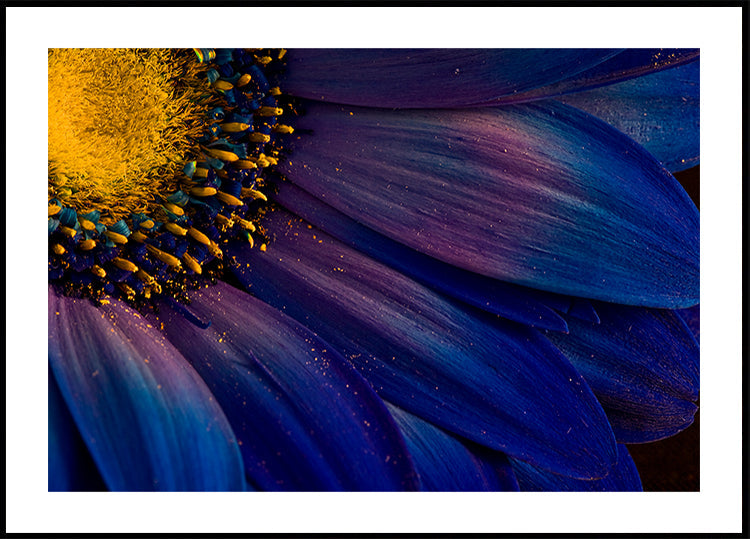 Rayons bleus Poster