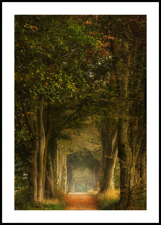 Rêveur éveillé Poster