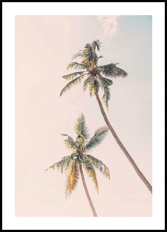Palmiers tropicaux Poster