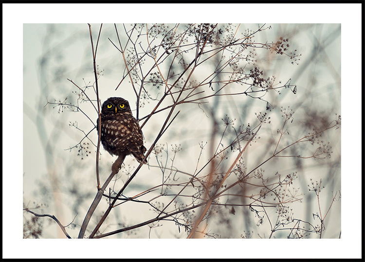 Regardez-moi! Affiche