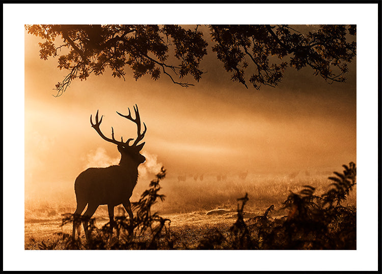 Cerf rouge dans la brume Poster