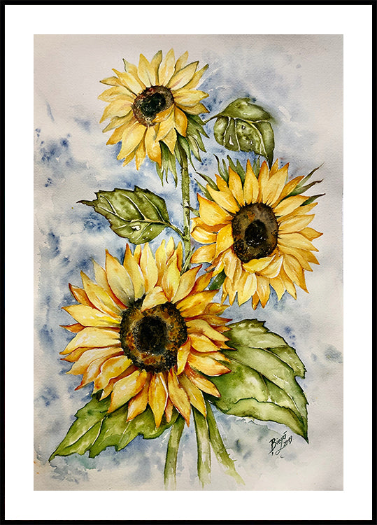 Tournesols