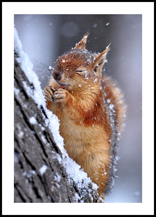 hiver