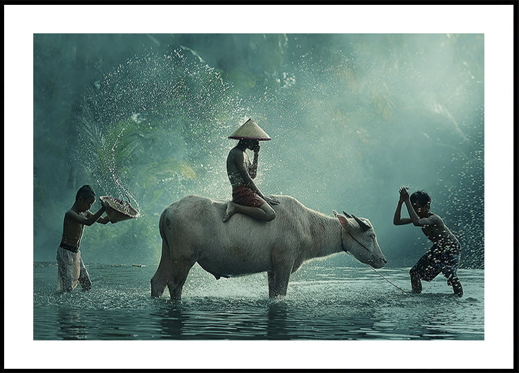 Buffle d'eau
