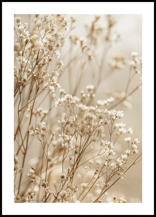 Affiche sur l'élégance douce du gypsophile séché sous une lumière douce