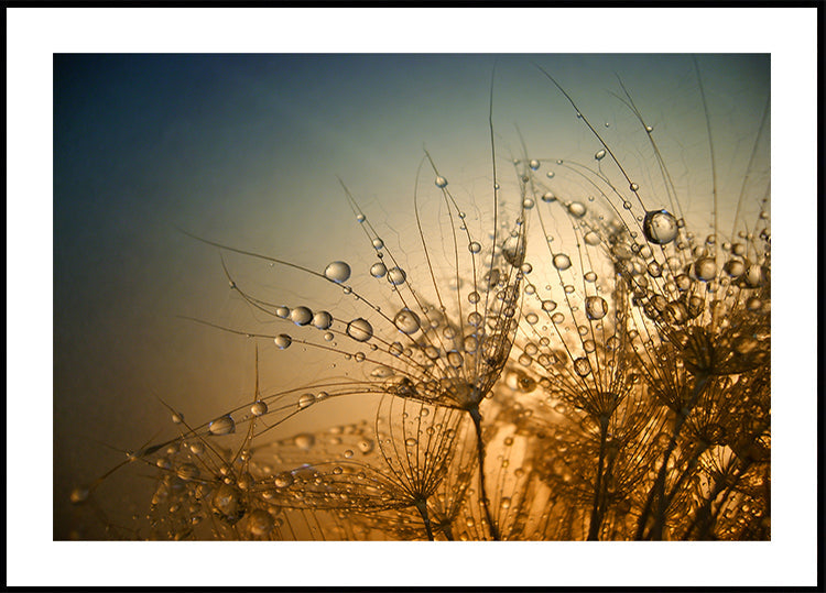 Tendre est la nuit