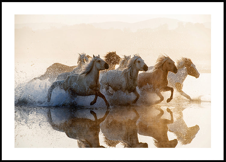 Chevaux Poster