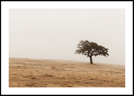 Affiche d'un champ herbeux d'automne et d'un arbre solitaire