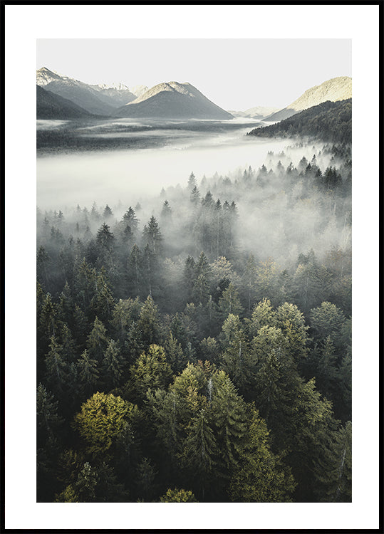 Misty Mountain Plakat - Posterbox.dk