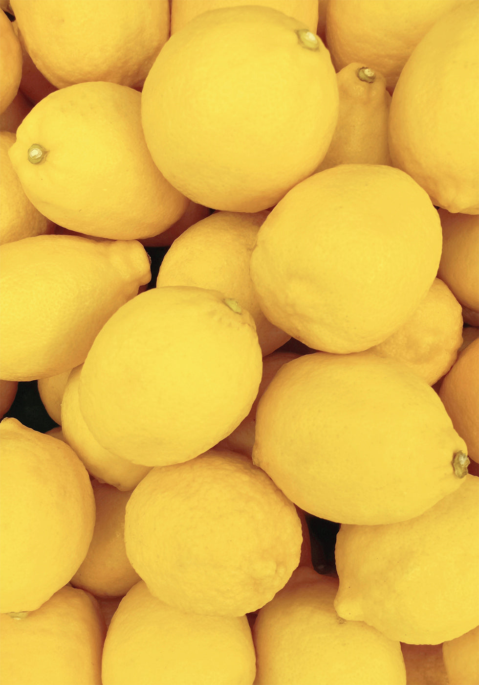 Lemons Plakat - Posterbox.dk
