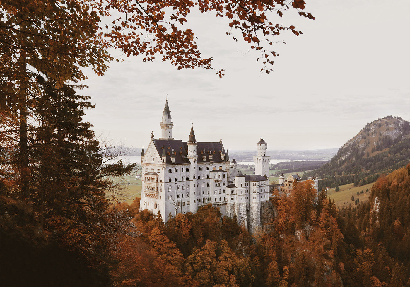 Affiche d'un château majestueux dans un paysage d'automne