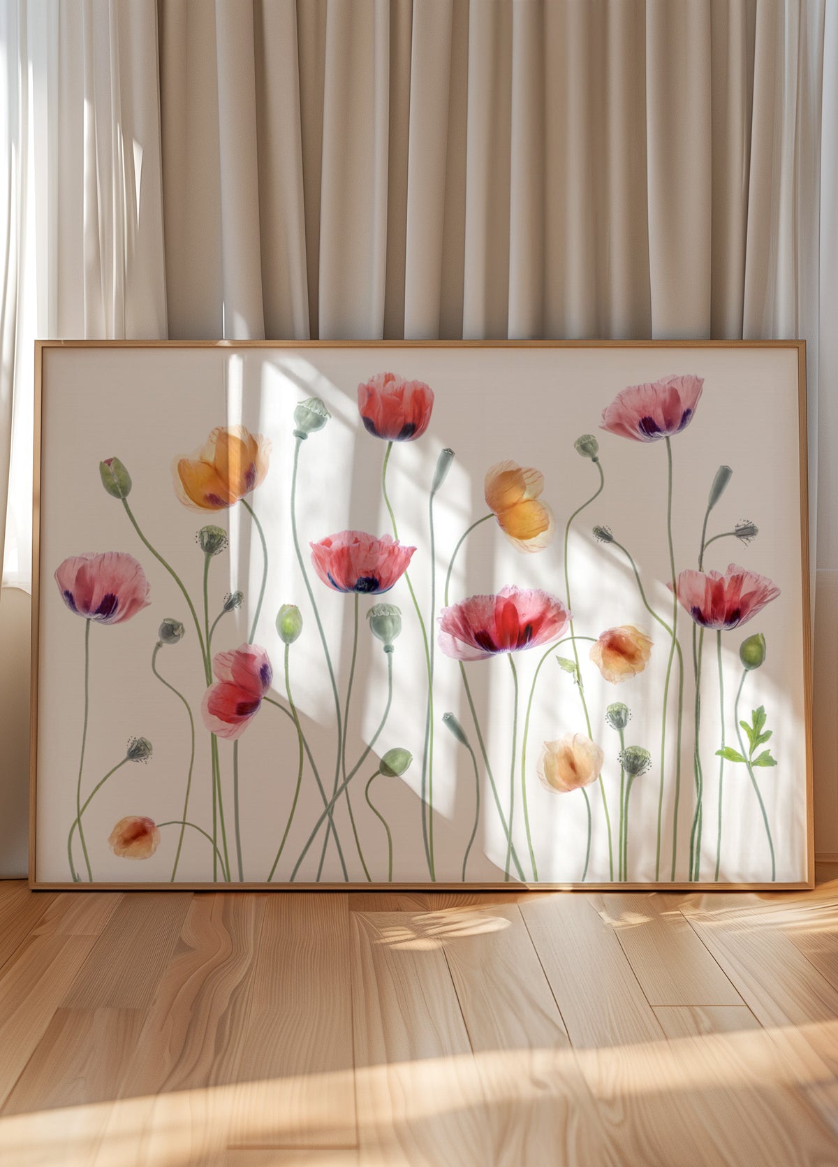 Fête du coquelicot