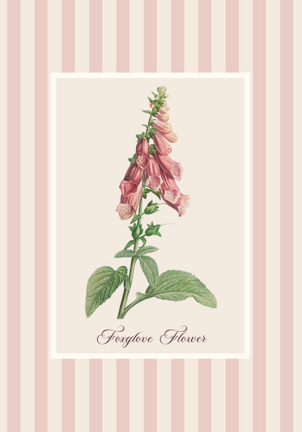 Affiche de fleur de digitale rose