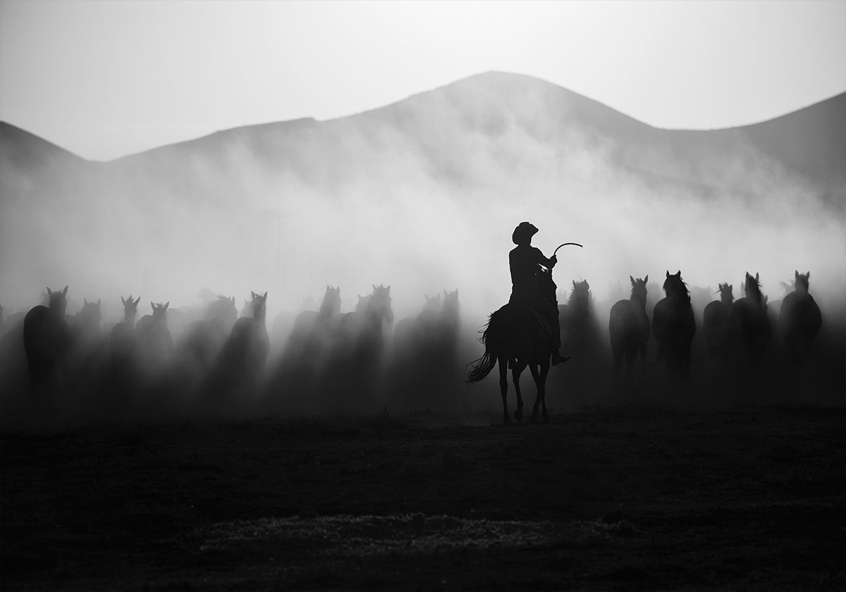 À la poursuite des Jades ! Affiche