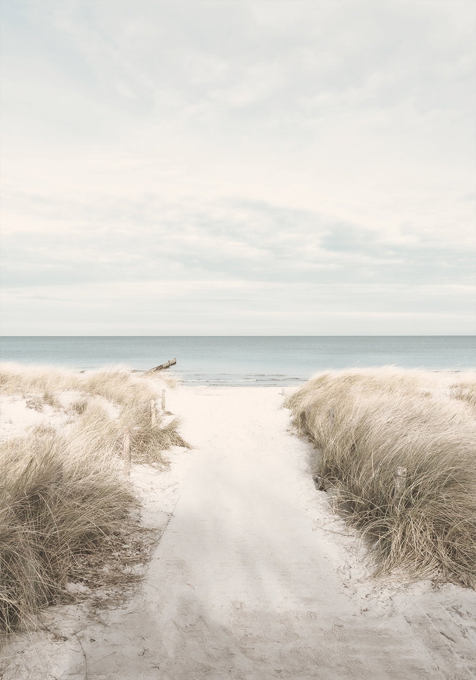 Affiche du chemin de sable vers la mer 