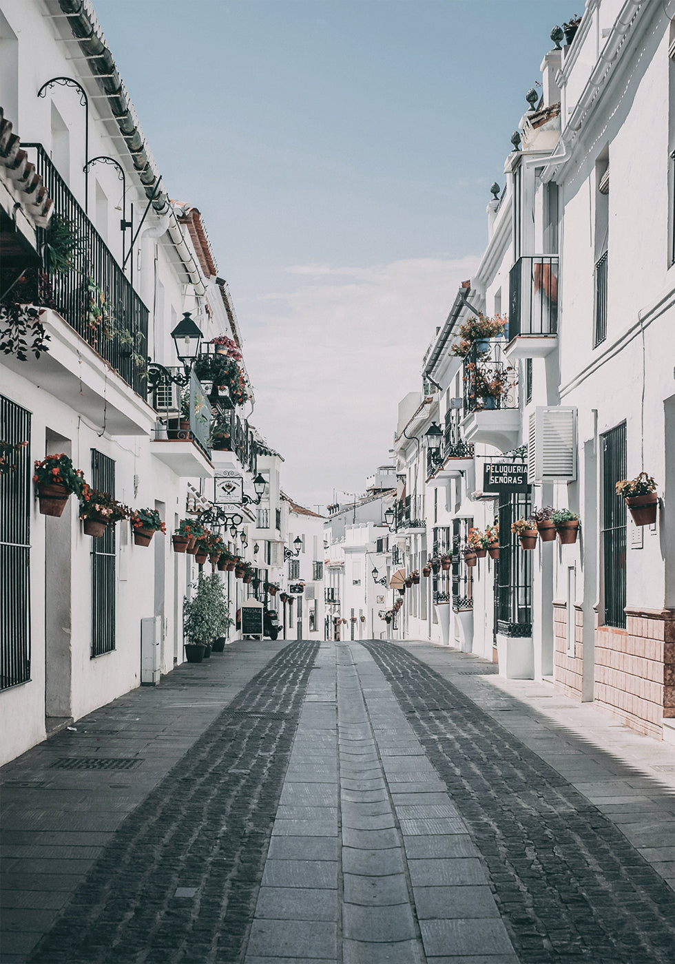 Affiche des charmantes rues de Mijas