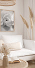 White Rose No. 1 Plakat - Posterbox.dk