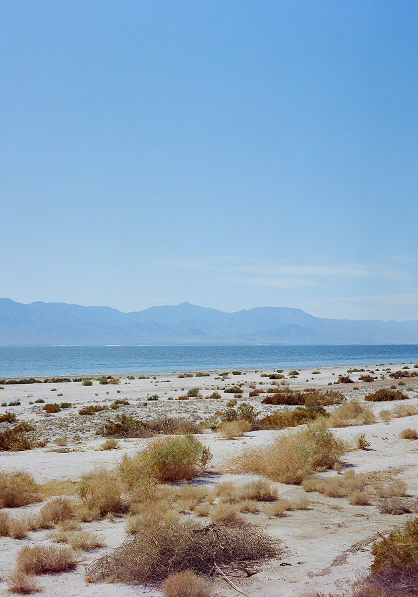 Bombay Beach Spring II (NEW) - Posterbox