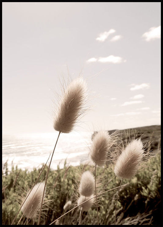 Soft Grass on Mountain Plakat - Posterbox.no