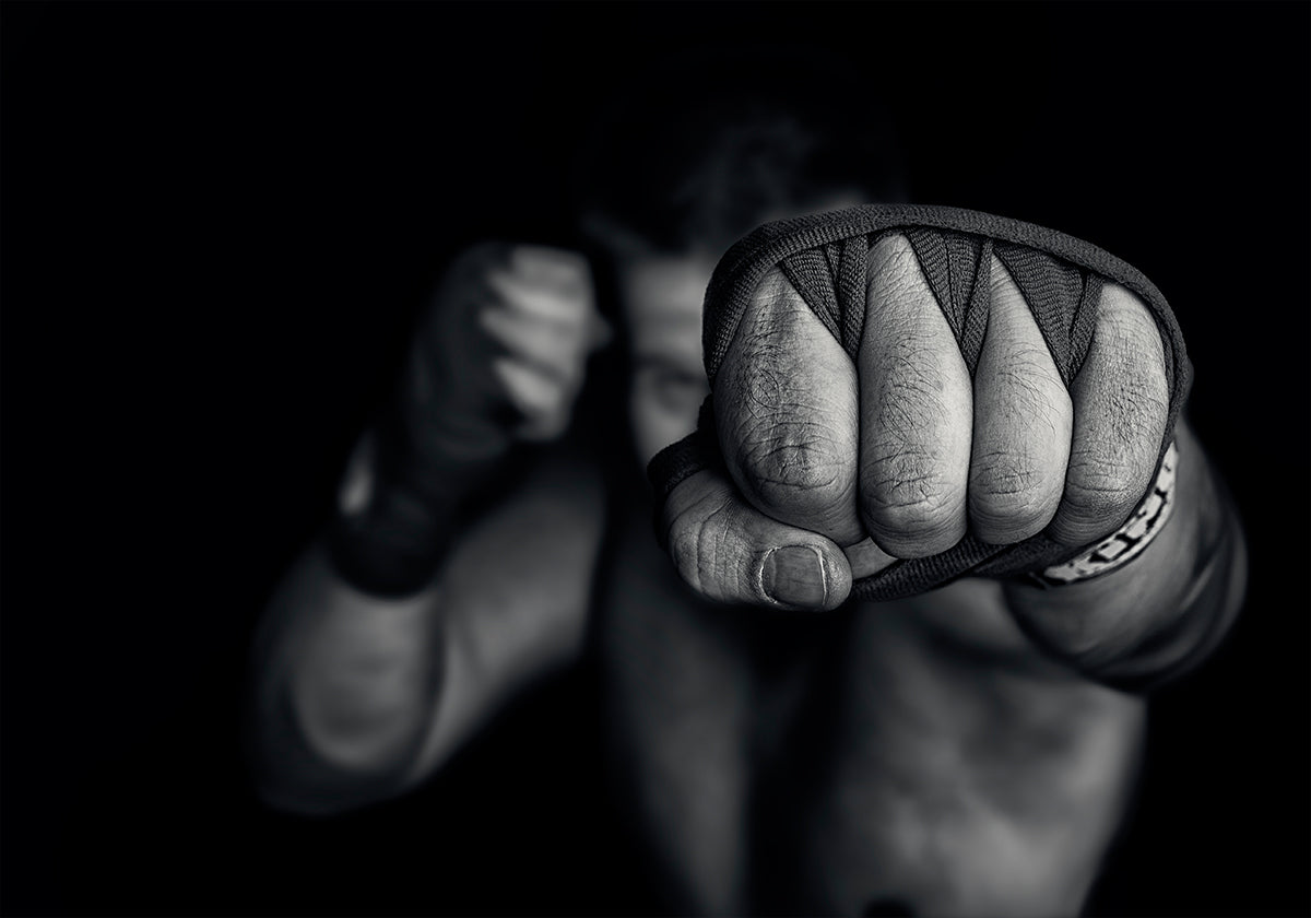 left wing - Posterbox