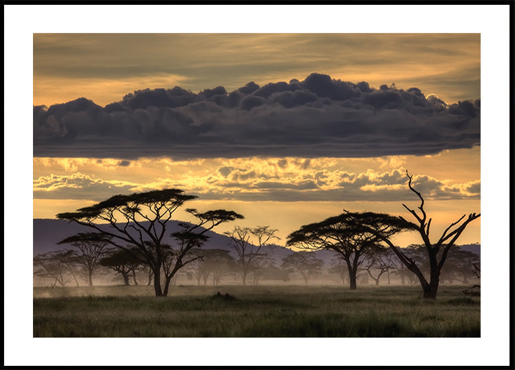 Good evening tanazania - Posterbox