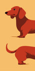 Dachshund Plakat - Posterbox