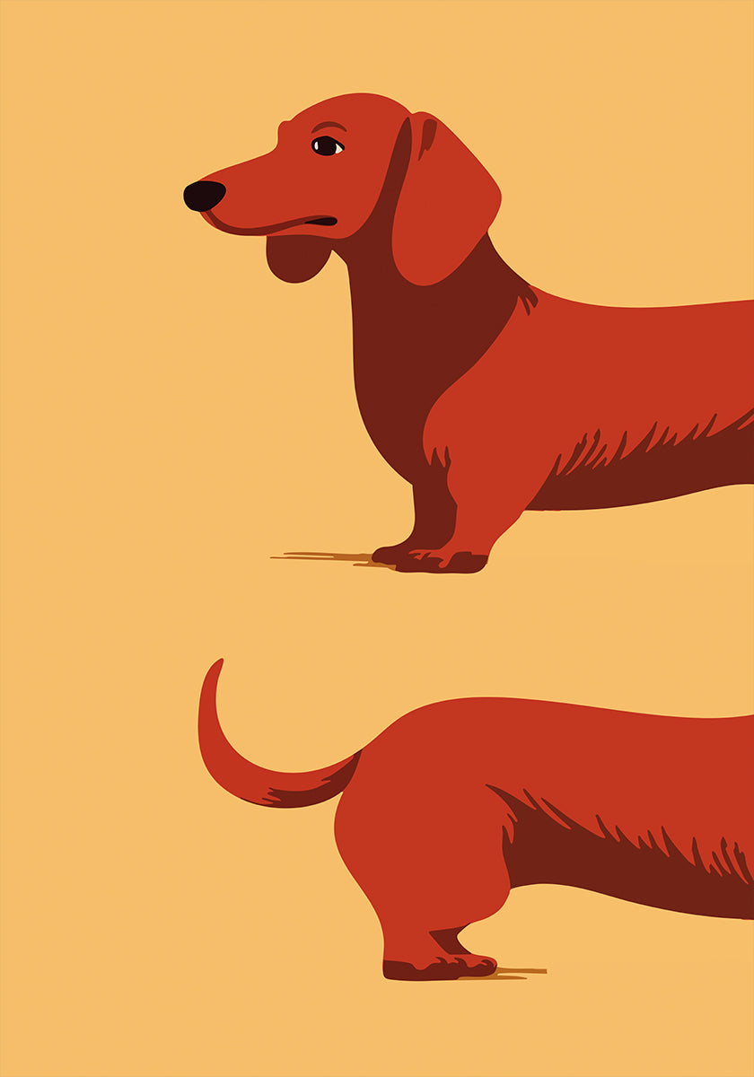 Dachshund Plakat - Posterbox