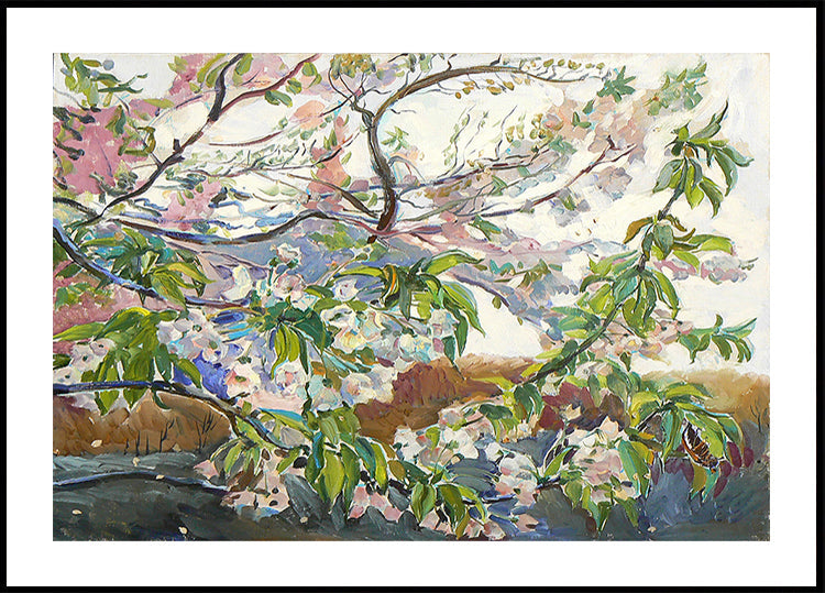 Cherry Blossoms In Spring (NEW) - Posterbox