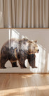 Bear Plakat - Posterbox