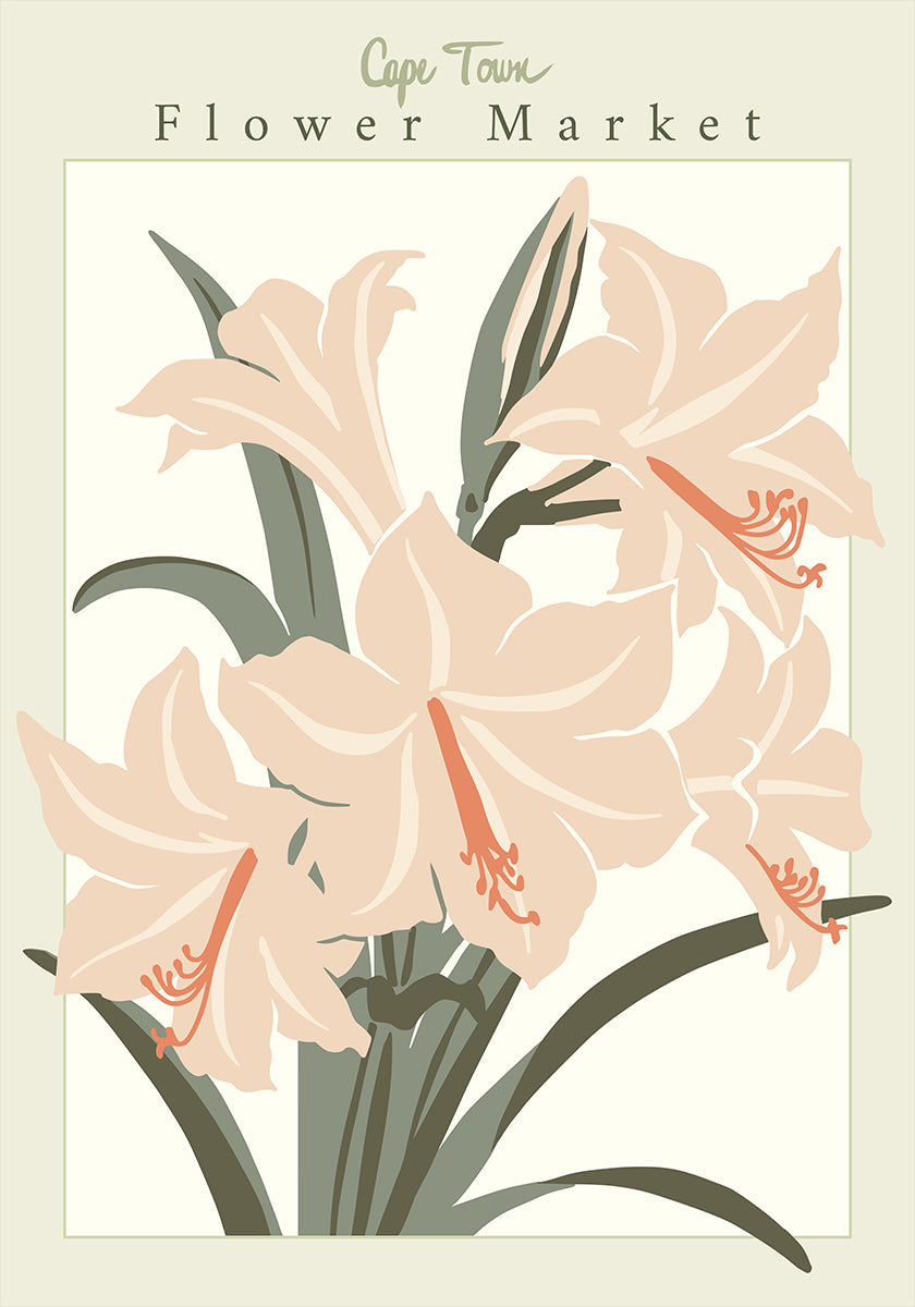 Flower Market Cap Town Amaryllis Plakat - Posterbox