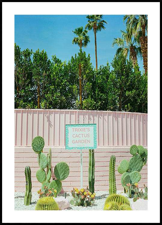 Pink Palm Springs IV (NEW) - Posterbox