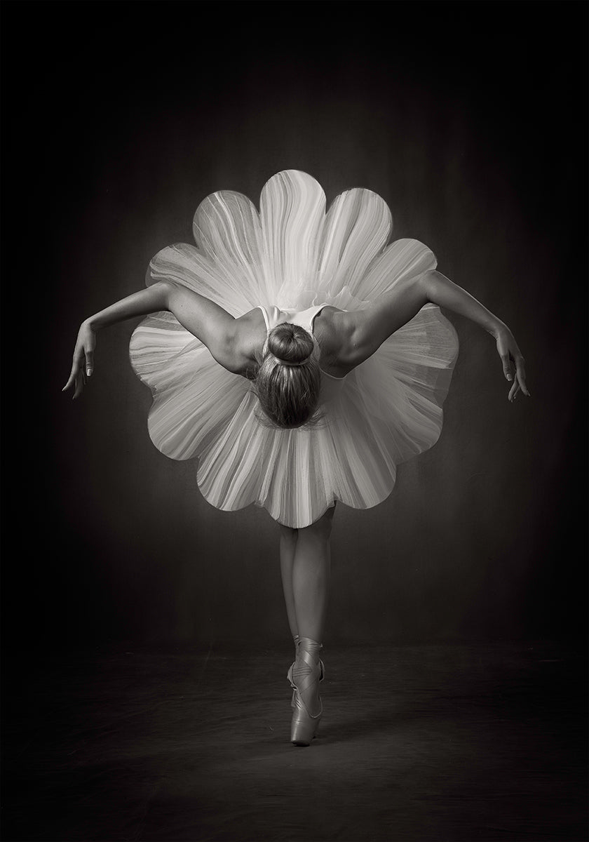 Floral Ballet Plakat - Posterbox