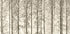 Aspens Plakat - Posterbox