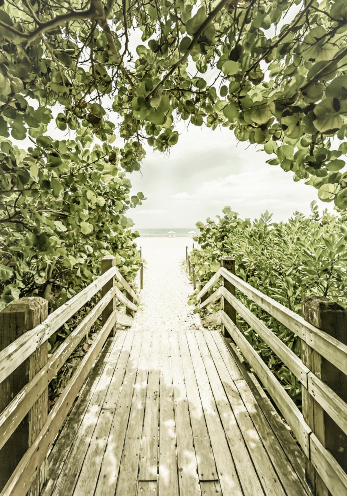 Chemin de plage tropicale