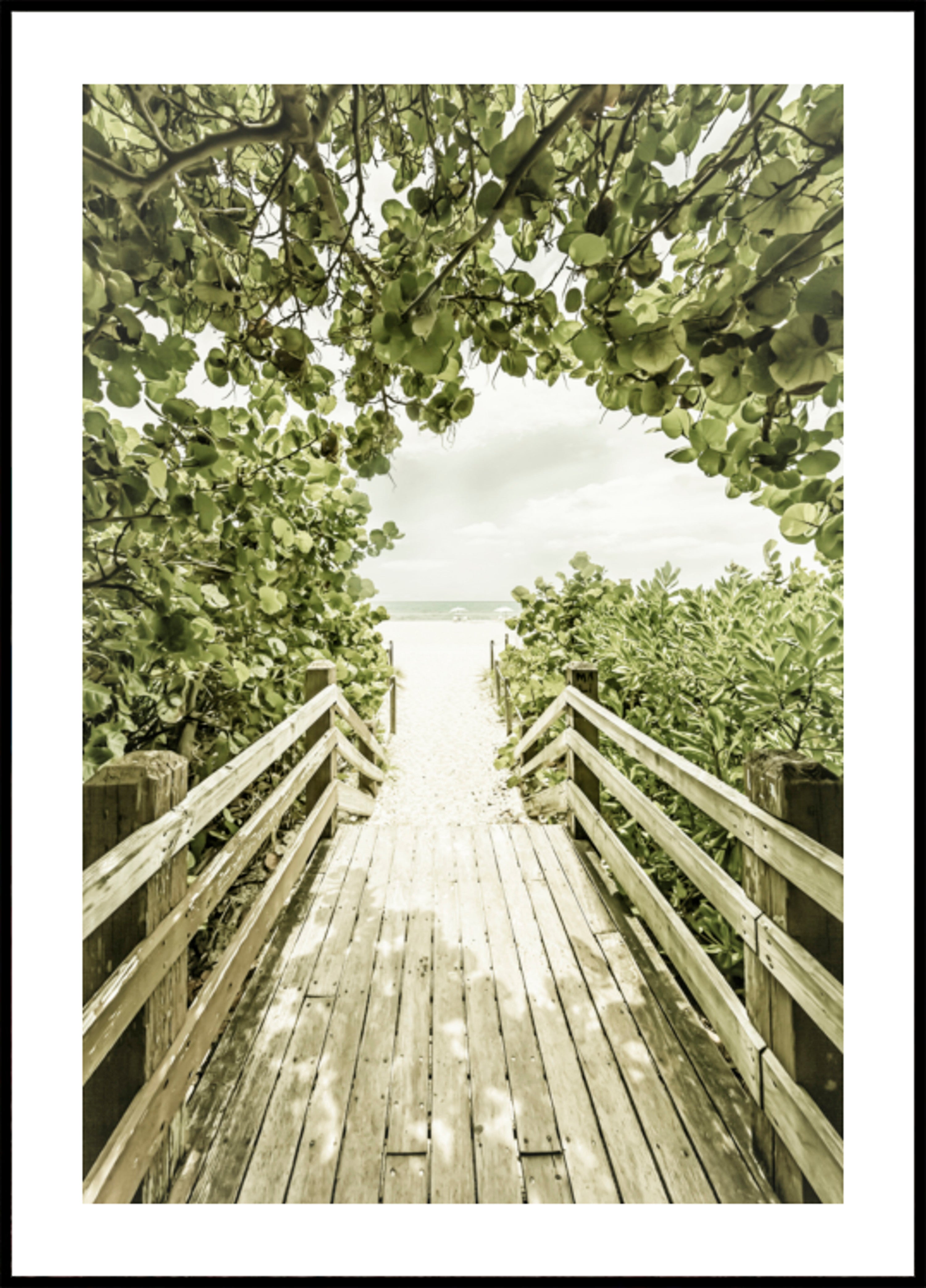 Chemin de plage tropicale