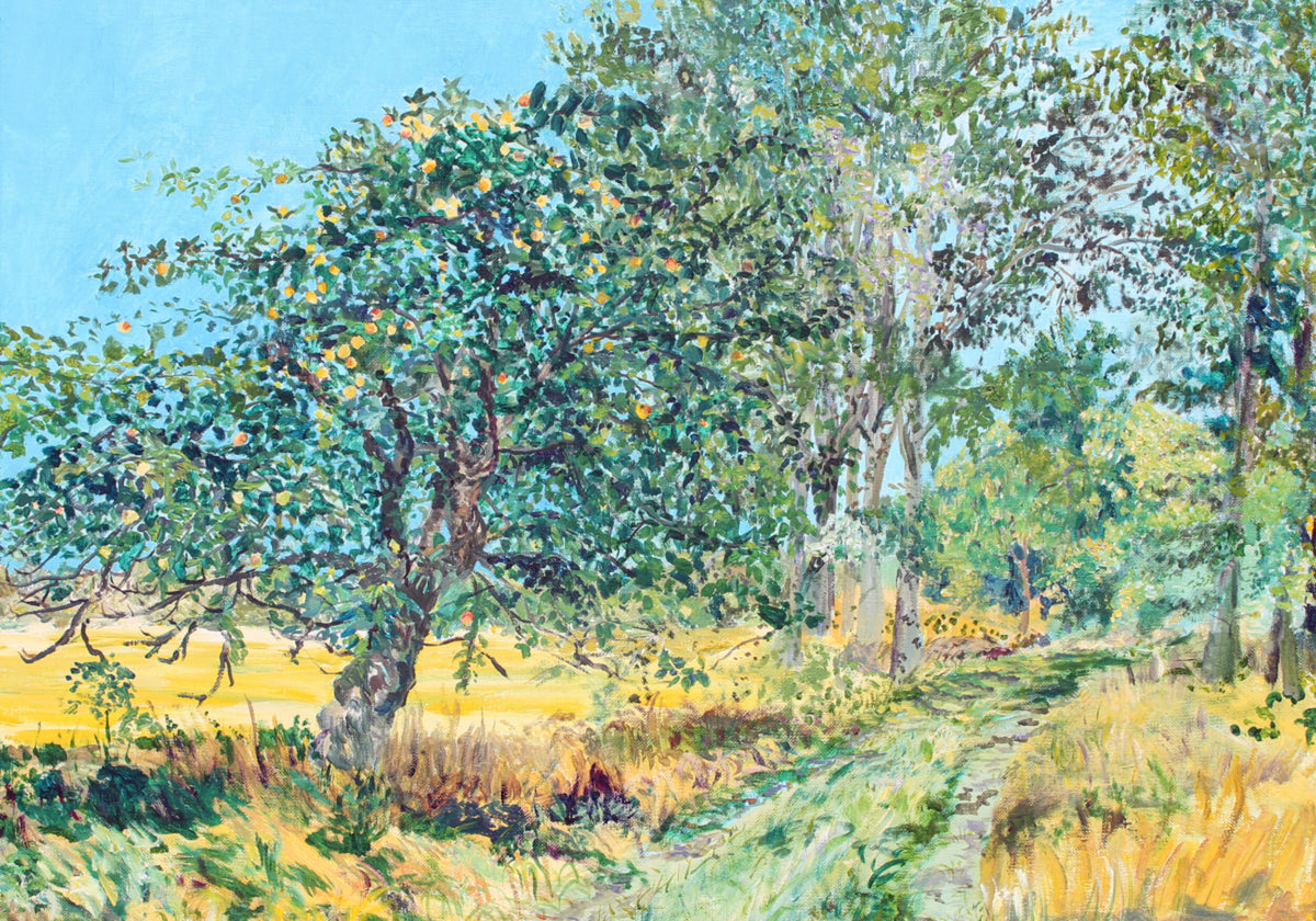 Chemin du verger ensoleillé