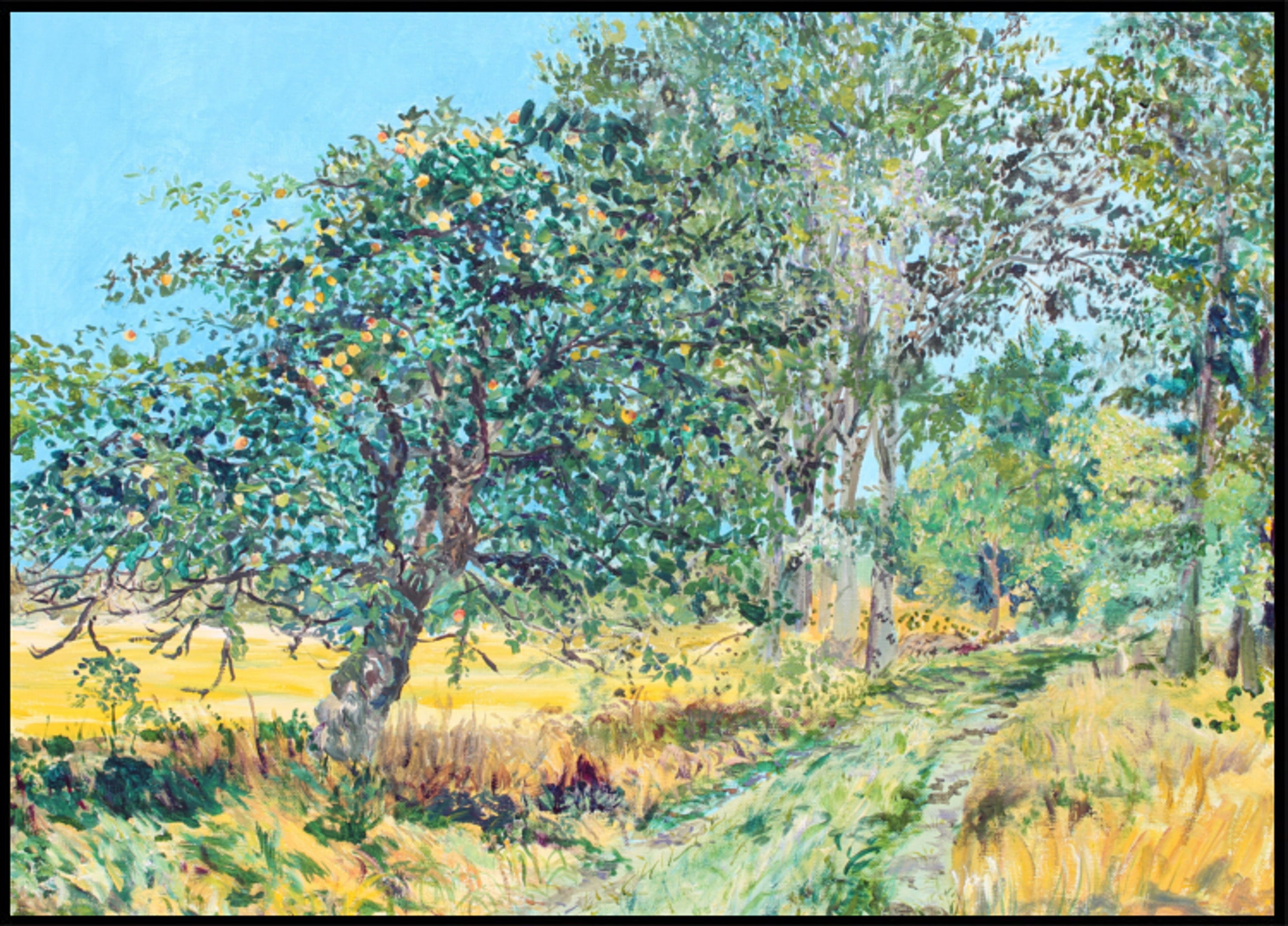 Chemin du verger ensoleillé