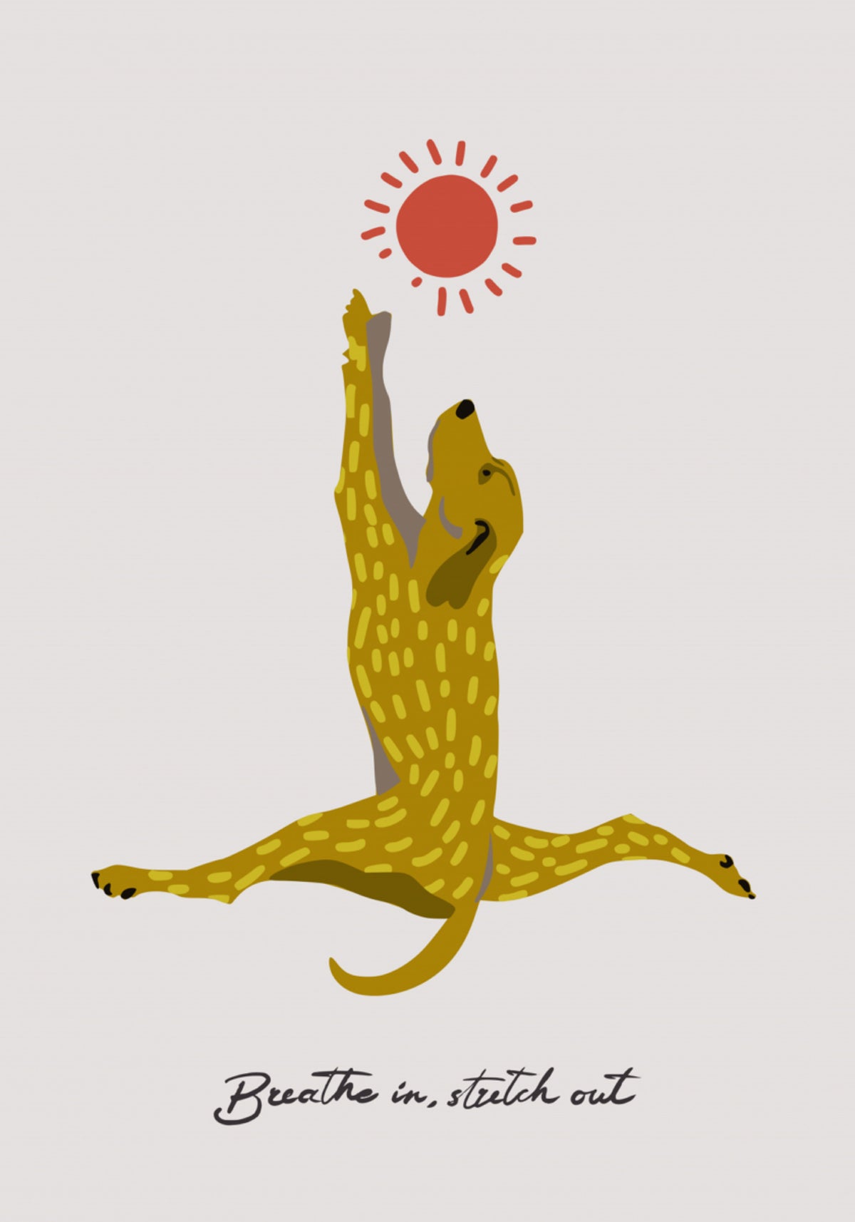 Soleil de chien qui s'étire