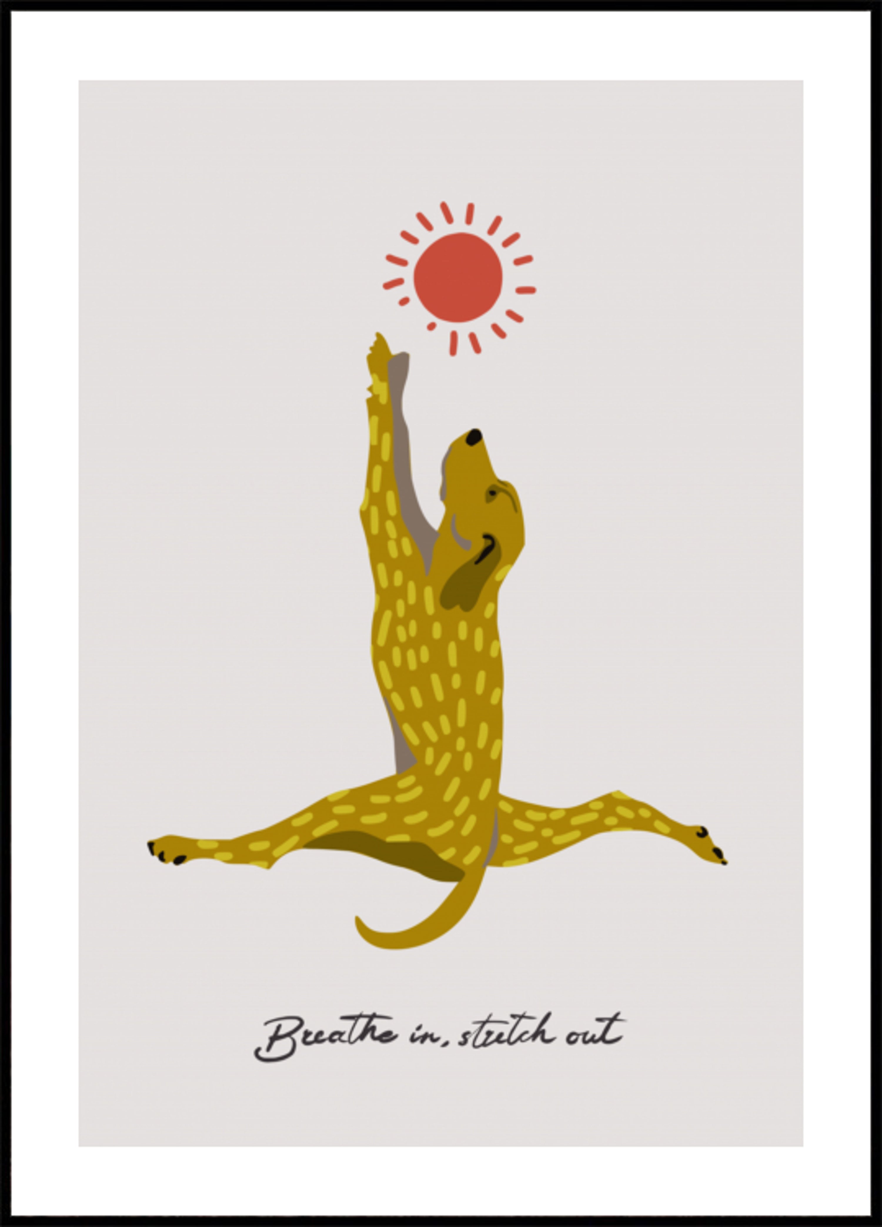Soleil de chien qui s'étire
