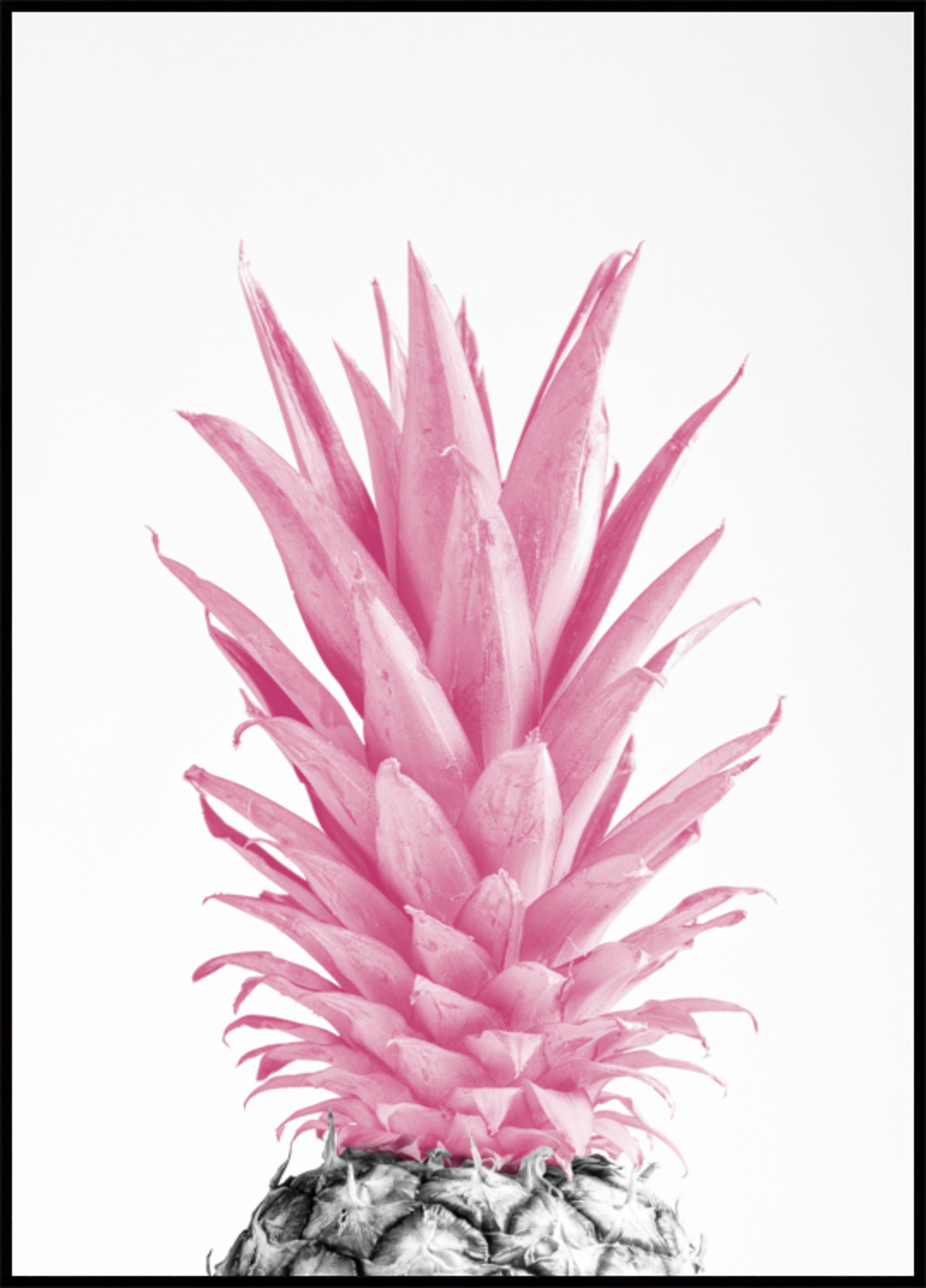 Ananas rose tropical