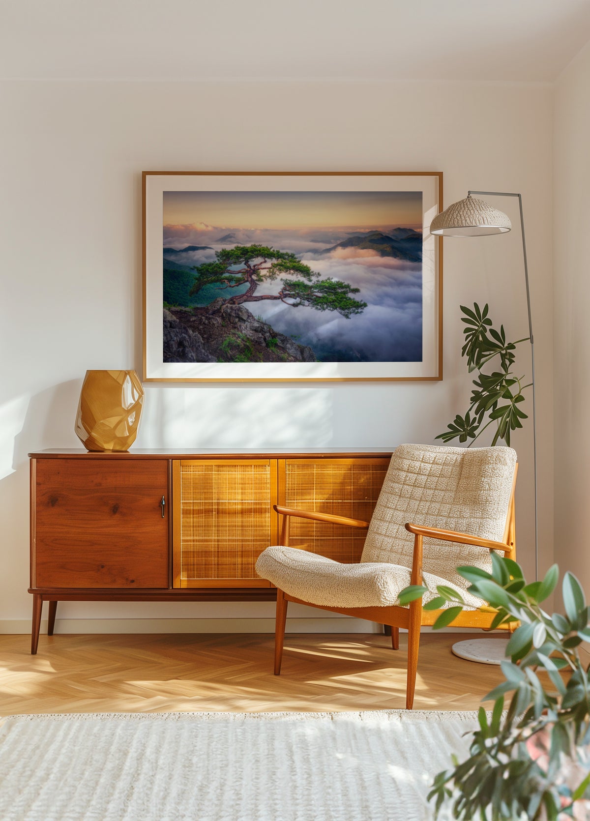 Lever de soleil sur la montagne des arbres anciens