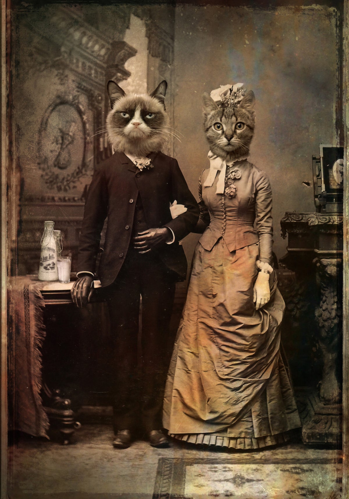 Couple de chats victoriens