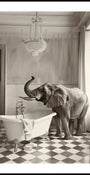 Baignoire élégante de l'éléphant