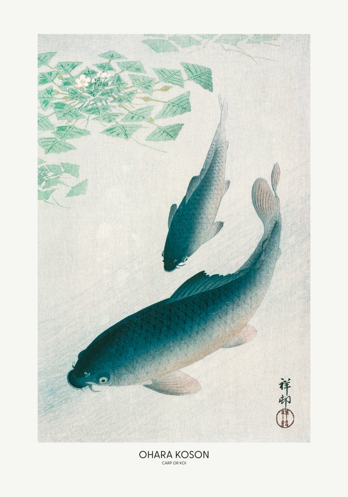 Carpe ou Koi