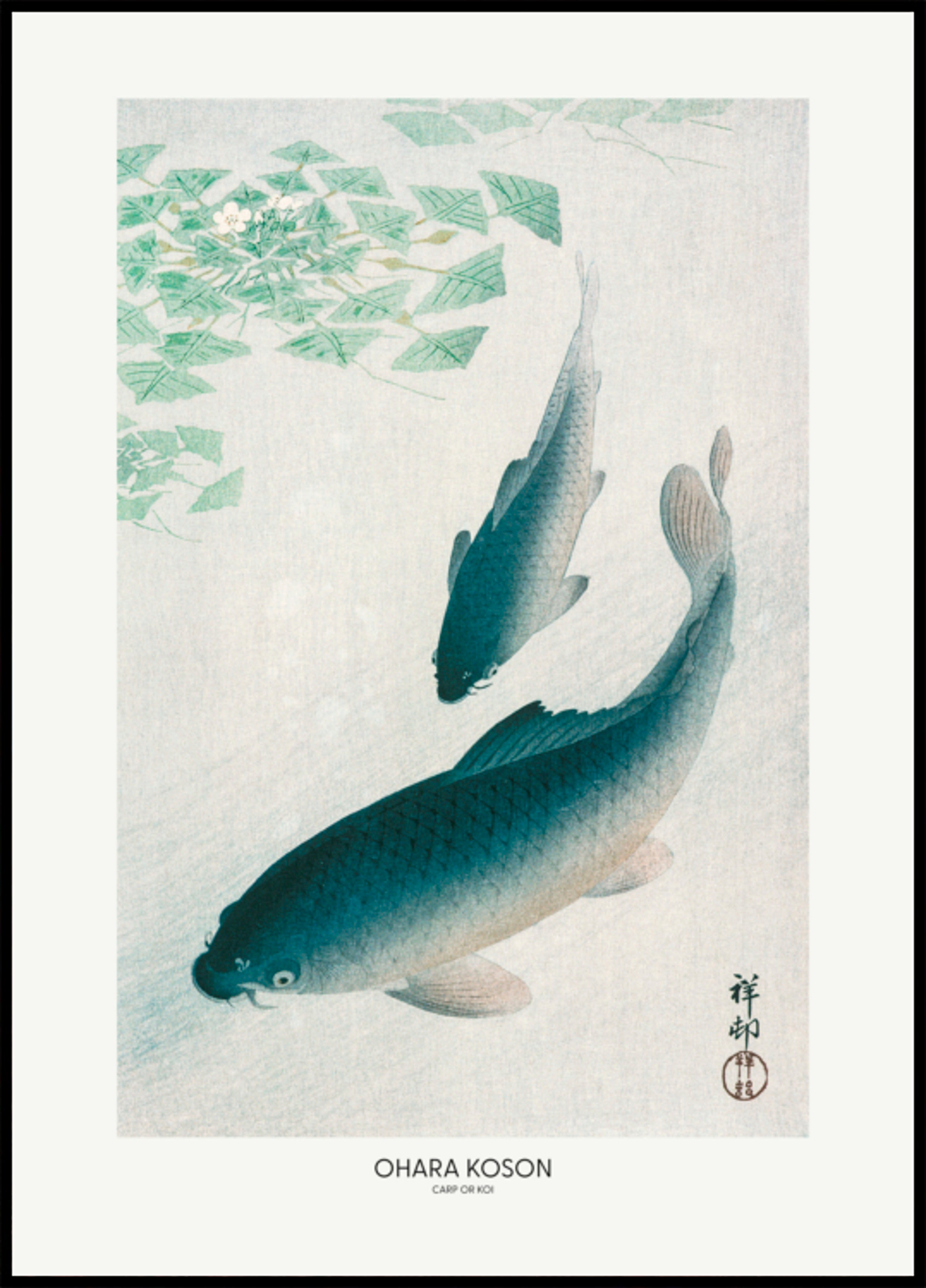 Carp Or Koi - Posterbox