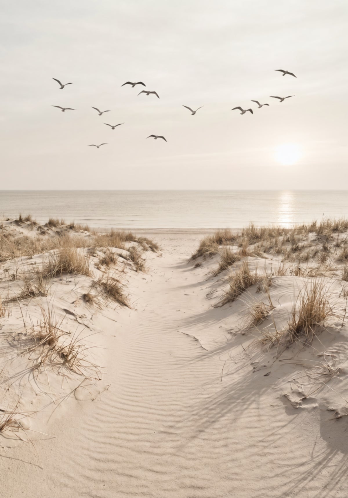 Chemin de sable paisible